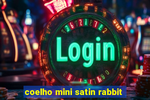 coelho mini satin rabbit